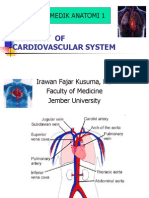 Anatomy of Cardiovascular System