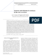 Adhesion of Bacteria and Diatoms To Surfaces in The Sea: A Review