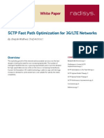 Paper Lte SCTP Fast Path