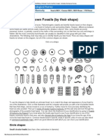 Identificar Fosiles Por Su Forma