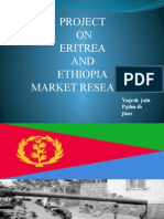 Project ON Eritrea AND Ethiopia Market Research: Yogesh Jain Pgdm-Ib Jims