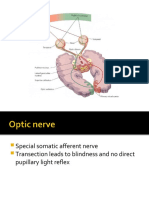 Visual Pathway