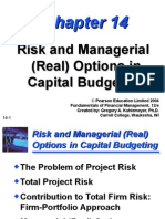 Risk and Managerial (Real) Options in Capital Budgeting