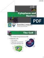 L2a - Cytoplasm