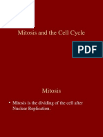 Mitosis and The Cell Cycle