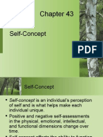 Self Concept