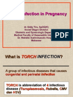 TORCH in Pregnancy