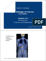 Biology of Cancer Chapter 14