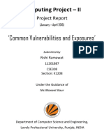 Common Vulnerabilities and Exposures Project Report