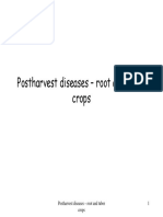 Postharvest Diseases Root and Tuber Crops