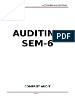 Auditing