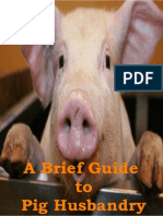 A Brief Guide To Pig Husbadry