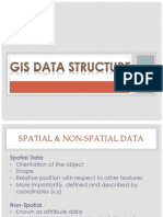 3 GIS Data Structure