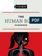 Human Body Handbook