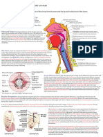 Respiratory Notes (Chris Andersen, ICUPrimaryPrep - Com)