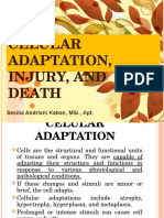 Cell Adaptation, Injury, and Death