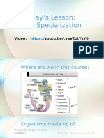 Lesson 1 - Cell Specialization and Hierarchy