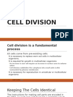 Cell Division