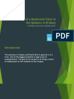 Feasibility of A Mushroom Farm in The Bunkers in El Buey: Sarah Muse, Serena Soltero, Matthew Suarez