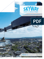 Skyway ED 3 Web