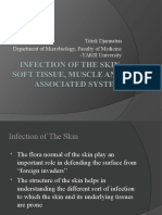 Infection of The Skin, Soft Tissue, Etc.