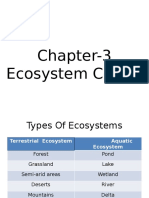 Ecosystem