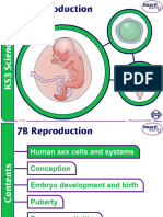 7B Reproduction