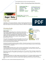 How To Grow Sugar Baby Watermelon - Guide To Growing Sugar Baby Watermelon