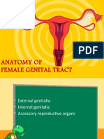 Anatomy of Female Genital Tract