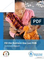 Lao PDR Fill The Nutrient Gap Analysis