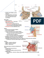 Nasal Cavity and Oral Cavity OUTLINE