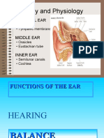 Anatomy and Physiology: External Ear