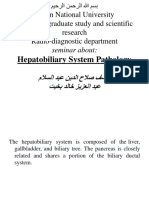 Hepatobiliary System