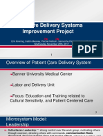 Healthcare Delivery Systems Improvement Project