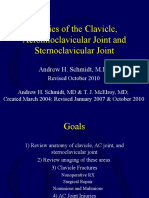 Clavicle Fracture