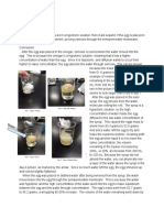 Egg Lab Write - Up