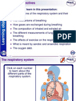 Igcse Biology Respiratory System