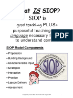 4 Overview of SIOP Model Thrower