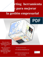 Ebook Reporting SCG Estrategia PDF