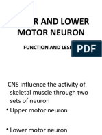 Upper and Lower Motor Neuron