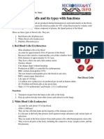 Blood Cells and Its Types With Functions