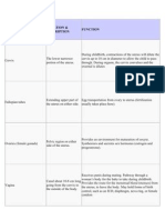 Anatomy and Physiology