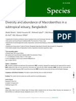 Diversity and Abundance of Macrobentos in A Subtropical Estuary, Bangladesh