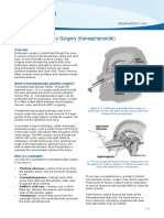 Pituitary: Endoscopic Surgery (Transsphenoidal)