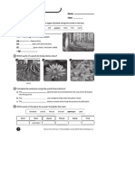 Slidedocus Diagnostic Natural Science 4 Primary Byme Plants