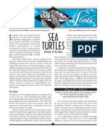 Sea Stats - Sea Turtles