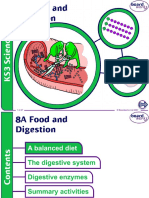 8A Food and Digestion