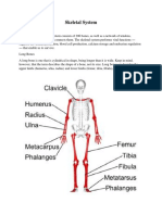 Anatomy and Physiology of Facial Bones