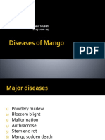 Diseases of Mango