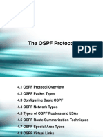 The OSPF Protocol